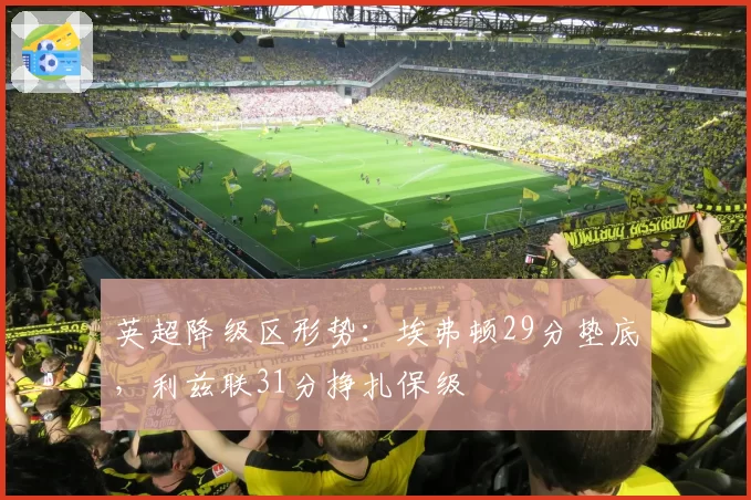 英超降级区形势:埃弗顿29分垫底,利兹联31分挣扎保级