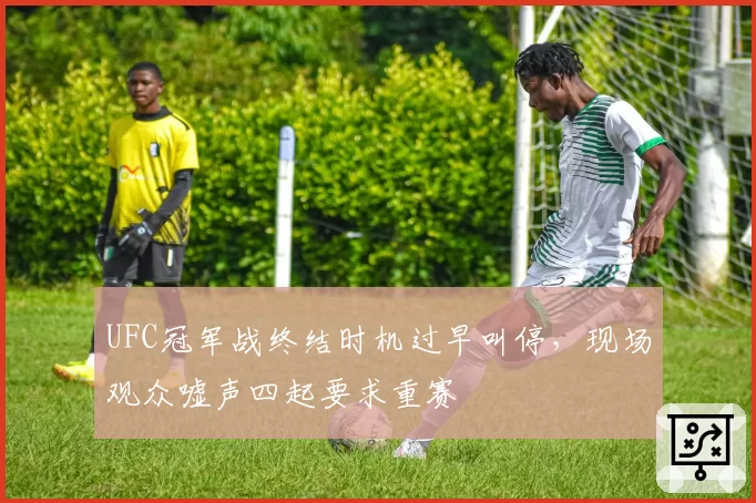 UFC冠军战终结时机过早叫停，现场观众嘘声四起要求重赛