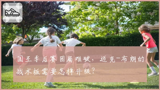 国王季后赛困局难破，迈克-布朗的战术板需要怎样升级？