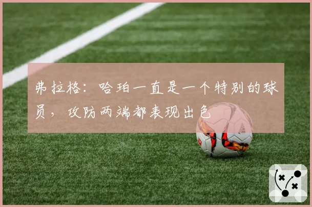 弗拉格：哈珀一直是一个特别的球员，攻防两端都表现出色