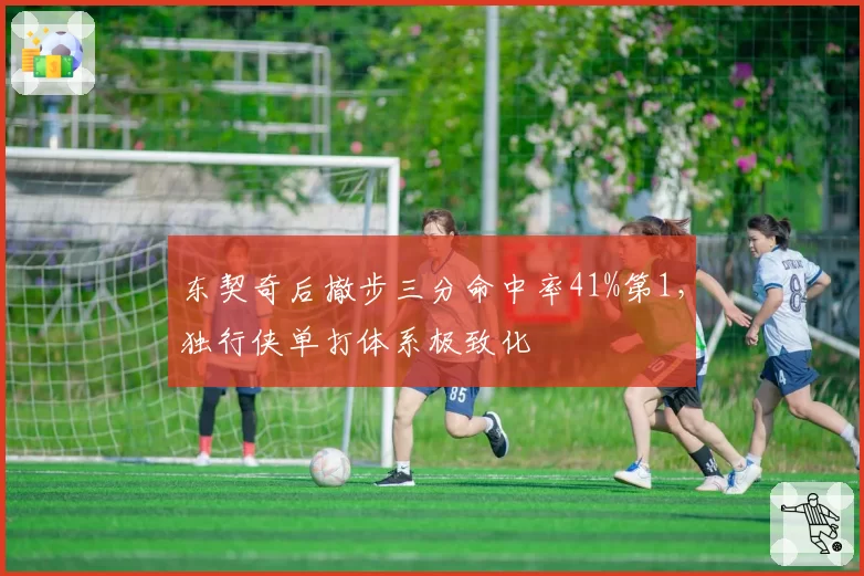东契奇后撤步三分命中率41%第1，独行侠单打体系极致化